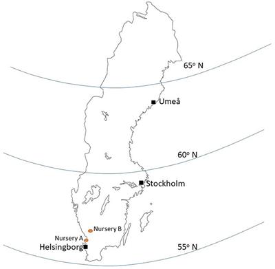 How green is an urban tree? The impact of species selection in reducing the carbon footprint of park trees in Swedish cities